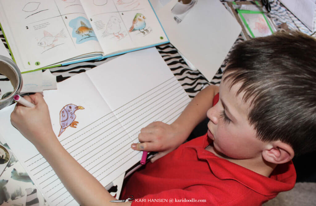 boy drawiing bird in a journal